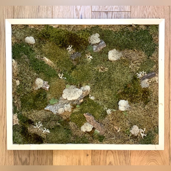 Gorgeous Moss Frame - Wall Art - Picture 1 of 4